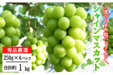 ＜2025年予約受付！＞厳選シャインマスカット 粒パック (約250g×4パック） 【1248】