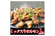味付け　ミックス 牛ホルモン 1kg （500g×2P）【1235】