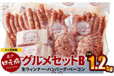 【定期便6ヶ月】四元豚 グルメセットB 4種 1.2kg 【1230】