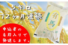 【12ヶ月定期便】 ひとめぼれ  白米  5㎏【1226】