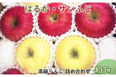 【贈答用】高級りんご　はるか・サンふじ詰合せ！花巻産約3kg 【1246】