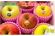【贈答用】旬のりんご・おまかせミックス！【６～８品種】花巻産約３kg 【1245】