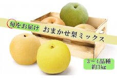 【旬をお届け】おまかせ梨ミックス３～４品種（約３kg） 【1244】