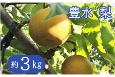 【秀品】採れたて 梨 豊水  約3kg 【予約受付】【1243】