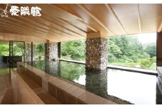 新鉛温泉 結びの宿  愛隣館  日帰り 入浴券 （10枚セット） 【1267】