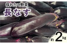  新鮮野菜  長茄子 約 2kg 詰め合わせセット 【1286】