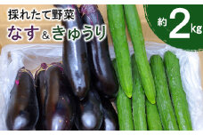  新鮮野菜  ナス  きゅうり  詰め合わせ 約 2kg セット【1285】