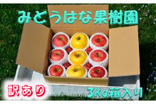 【訳あり】みどうはな果樹園の完熟サンふじとシナノゴールド9個セット （3kg箱入り） 【1349】