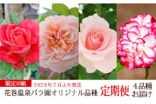 【先行予約】2023年7月毎週水曜日お届け！花巻温泉バラ園オリジナル品種定期便 【1401】