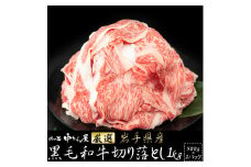 肉の匠中むら屋厳選　岩手県産黒毛和牛切り落とし1㎏（500g×2P） 【1412】