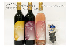 大迫佐藤葡萄園ワイン3本セット（ツヴァイゲルト赤・ロゼ・メルロー・干しぶどう） 【1396】