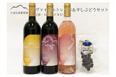 大迫佐藤葡萄園ワイン3本セット（ツヴァイゲルト赤・ロゼ・メルロー・干しぶどう） 【1396】