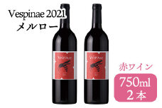 Vespinae 2021 メルロー 750ml  2本セット 赤ワイン【1420】