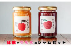 いわて花巻　林檎とすもものジャム2個セット（140g×2）【1457】