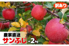 【訳あり】農園直送 サンふじ（花巻りんご）2.4kg前後【1460】