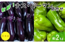 新鮮野菜  ナス・ピーマン詰合せ 約2kgセット 　【1638】