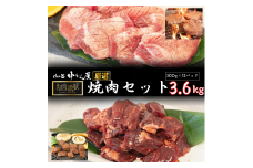 肉の匠中むら屋厳選　 お肉讃歌焼肉セット3.6kg　 (300ｇ×各6パック 合計12パック) 牛タン 牛ハラミ 【1620】