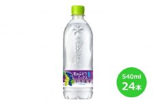 い・ろ・は・す 北のぶどうミックス 540mlPET×24本セット  【1624】