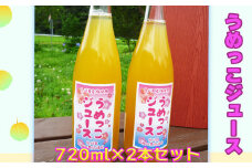 【添加物不使用】うめっこジュース（720ml×2本セット） 【1665】