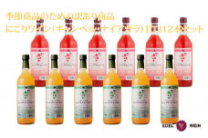 【期間限定】【訳あり】 にごりワイン（キャンベル・ナイアガラ） 甘口 12本セット 【1658】