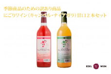 【期間限定】【訳あり】 にごりワイン（キャンベル・ナイアガラ） 甘口 2本セット 【1656】
