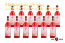 【期間限定】【訳あり】 にごりキャンベルロゼ 甘口 12本セット【1655】