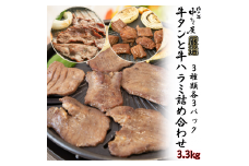 牛タンと牛ハラミの味付肉詰め合わせ3.3kg ＜肉の匠 中むら屋厳選＞　【1687】