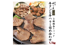 牛タンと牛ハラミの味付肉詰め合わせ1.1kg ＜肉の匠 中むら屋厳選＞　【1685】