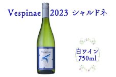 Vespinae（ベスピナエ）  2023 岩手シャルドネ 750ml×1本【1699】
