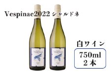 Vespinae 2022 シャルドネ 750ml 2本セット （ベスピナエ2022シャルドネ） 白ワイン【1701】