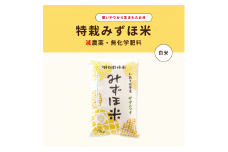 特別栽培みずほ米 ササニシキ 白米 10kg 【1759】