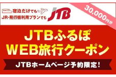 【花巻市】JTBふるぽWEB旅行クーポン（30,000円分）