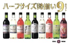 エーデルワイン ハーフサイズ勢揃い９本セット 【1900】