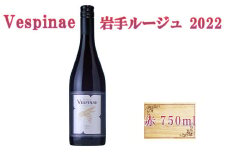 Vespinae（ベスピナエ）  2022 岩手ルージュ 750ml×1本 赤ワイン 【1969】
