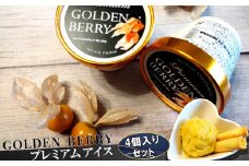 ネクスファームのゴールデンベリープレミアムアイス　4個入りセット 【1938】