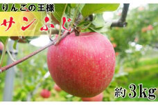 りんごの王様サンふじ（9〜12玉）3kg箱入＜訳あり＞ 【2043】