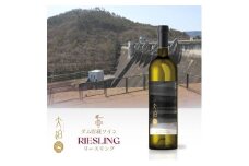 「早池峰の恵み」モリタワイン リースリング2020 ダム貯蔵ワイン 辛口　750ml×1本 【2107】
