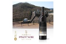 「早池峰の恵み」モリタワイン ダム貯蔵ワイン ピノ・ノワール2018　720ml×1本 【2104】