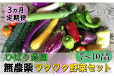 【定期便3回】ひばり農園の無農薬ワクワク野菜セット  【2151】