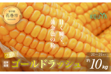 《先行予約》【訳あり】岩手県産 耕野のとうもろこし「ゴールドラッシュ」約10kg（20～25本） 【1897】