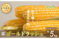 《先行予約》岩手県産　耕野のとうもろこし「ゴールドラッシュ」約5kg（10～15本） 【1895】