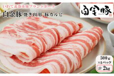 白金豚 焼肉用 豚カルビ【W（ダブル）】(バラ500g×4パック) 【2130】