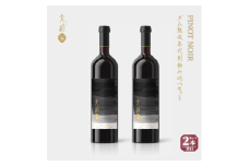 【数量限定】「早池峰の恵み」モリタワイン　ダム貯蔵熟成　年代別ピノ・ノワール飲み比べ2本セット 【2152】