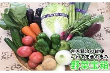 花巻のめぐみ野菜宝箱《数量限定》 【006】