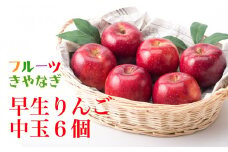 【予約受付 2025年産 9月中旬～発送開始予定 】北上産 果汁たっぷり 早生りんご 中玉6個 フルーツ 林檎 国産 岩手県 北上市 B0242 フルーツきやなぎ