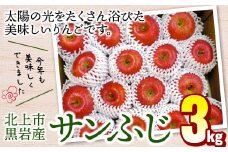 りんご サンふじ 約 3kg  岩手県 北上市 C0048 くろいわ産直  フジ さんふじ 贈答 お歳暮 ギフト 冬の贈り物 プレゼント 厳選 甘い 冬 果物 フルーツ おやつ 家庭 贈答 のし  季節 リンゴ 林檎 