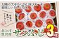 甘みと酸味のバランスがとれたサンふじをお届けします