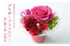【空気をきれいにするお花】プリザーブドフラワー　赤い贈り物 　光触媒