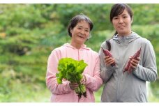  収穫したての新鮮野菜！ オーガニック 野菜セット 6~8品　旬 野菜 新鮮野菜 詰め合せ 国産 季節 おまかせ 産地直送 春野菜 夏野菜 秋野菜 きのこ 葉物 果物 果菜 贈り物 スイーツ ヘルシー 1人暮らし 家族 夫婦 小分け 料理 根菜 冷蔵 オーガニック 高原野菜 定期 岩手県 北上市 C0056