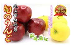 予約受付 8月上旬～発送予定　【 品種おまかせ 】りんご 約 4.5kg セット 北上市/口内産 りんご 果物 フルーツ おやつ お土産 お歳暮 お中元 お祝い 子供 ファミリー 家庭 金成園 岩手県 北上市 C0063